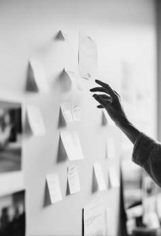 Organización visual de ideas